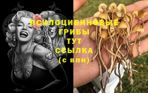 первитин Лабытнанги