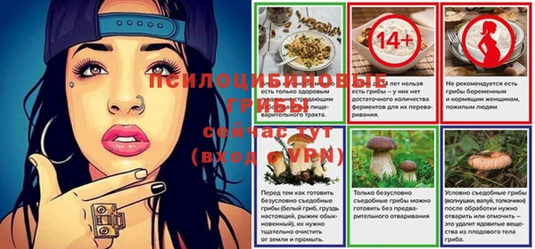 дживик Лихославль