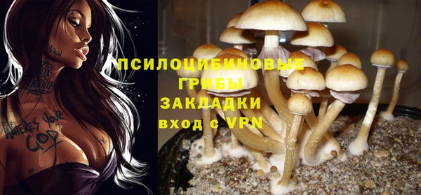 прущий лед Лиски